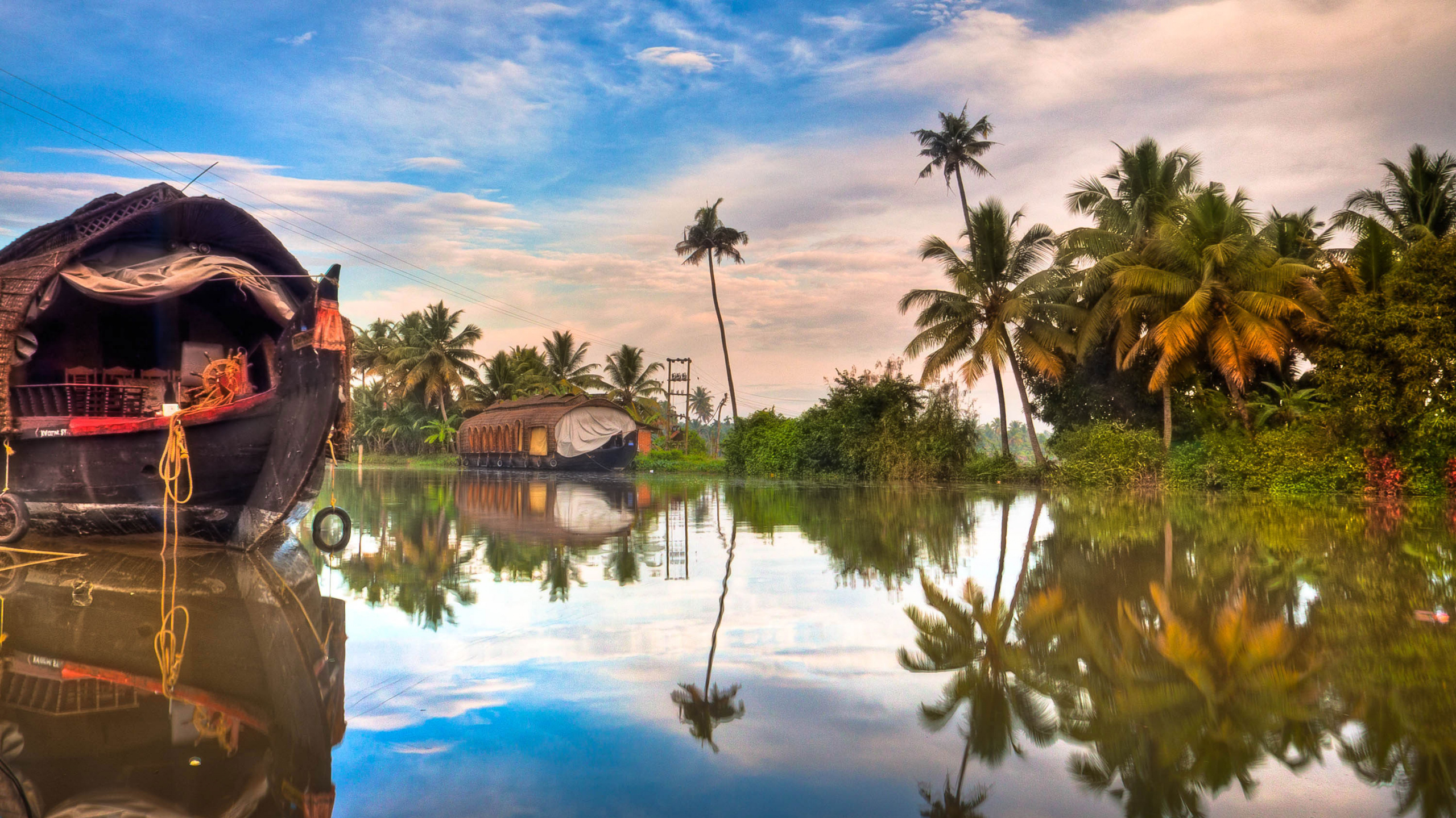 Green Palm Trees Beside Body of Water Under Blue Sky and White Clouds During Daytime. Wallpaper in 2560x1440 Resolution