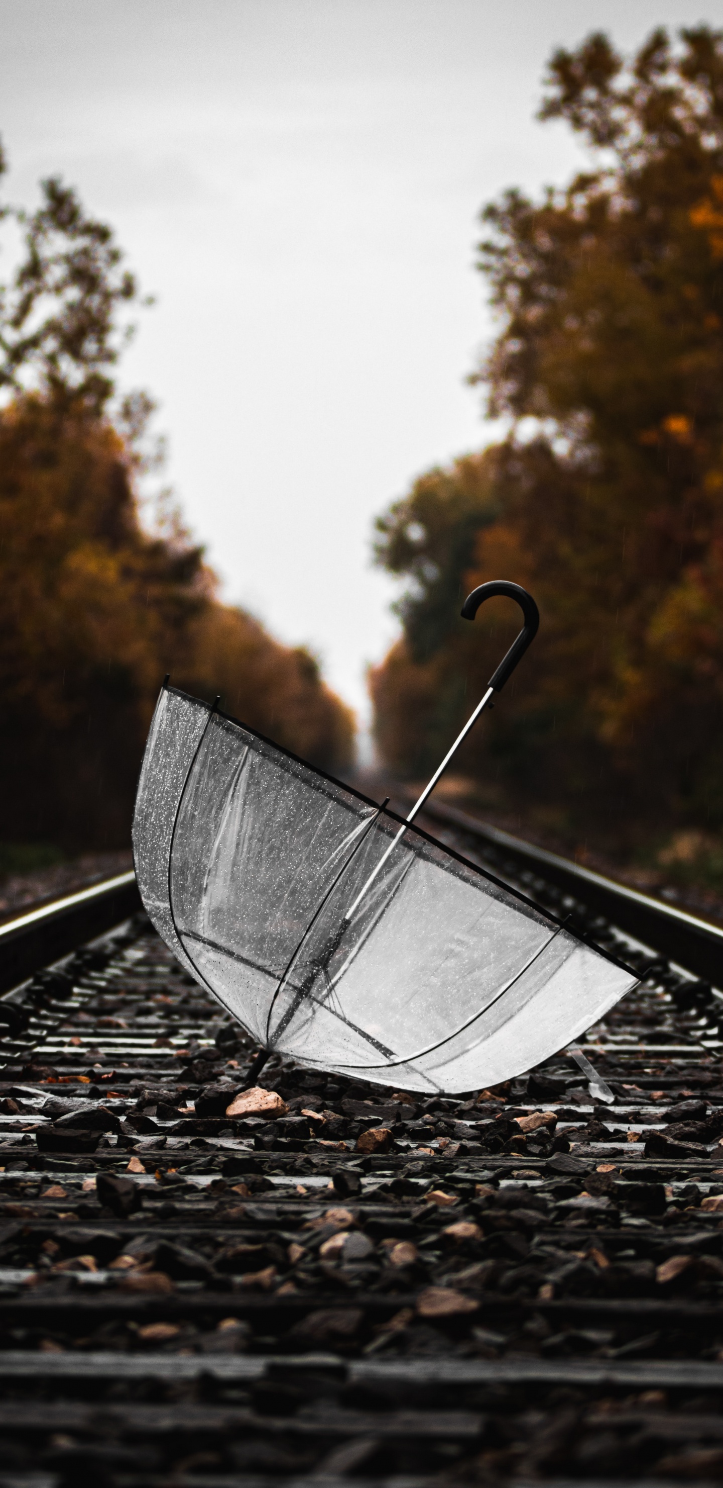 Clear Glass Round Table on Black Metal Train Rail During Daytime. Wallpaper in 1440x2960 Resolution