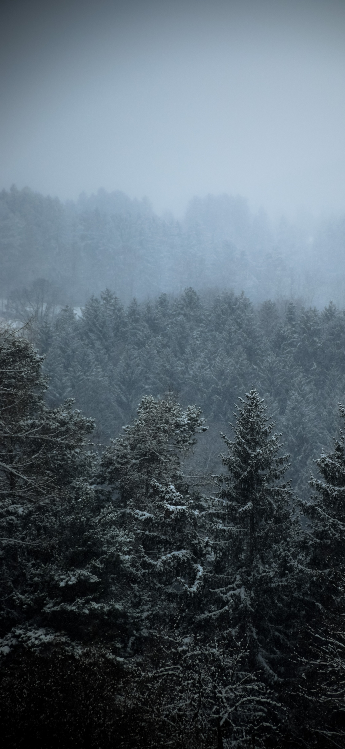 Pont, Atmosphère, Brouillard, Paysage Naturel, Gris. Wallpaper in 1125x2436 Resolution