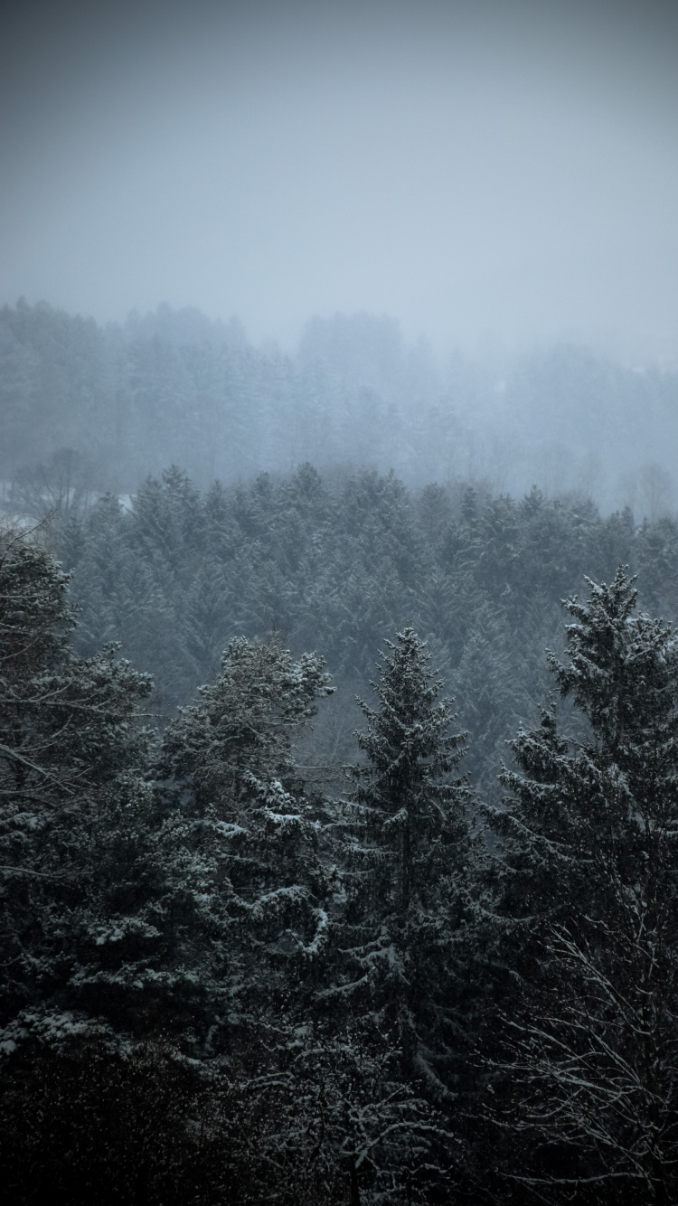 Pont, Atmosphère, Brouillard, Paysage Naturel, Gris. Wallpaper in 750x1334 Resolution