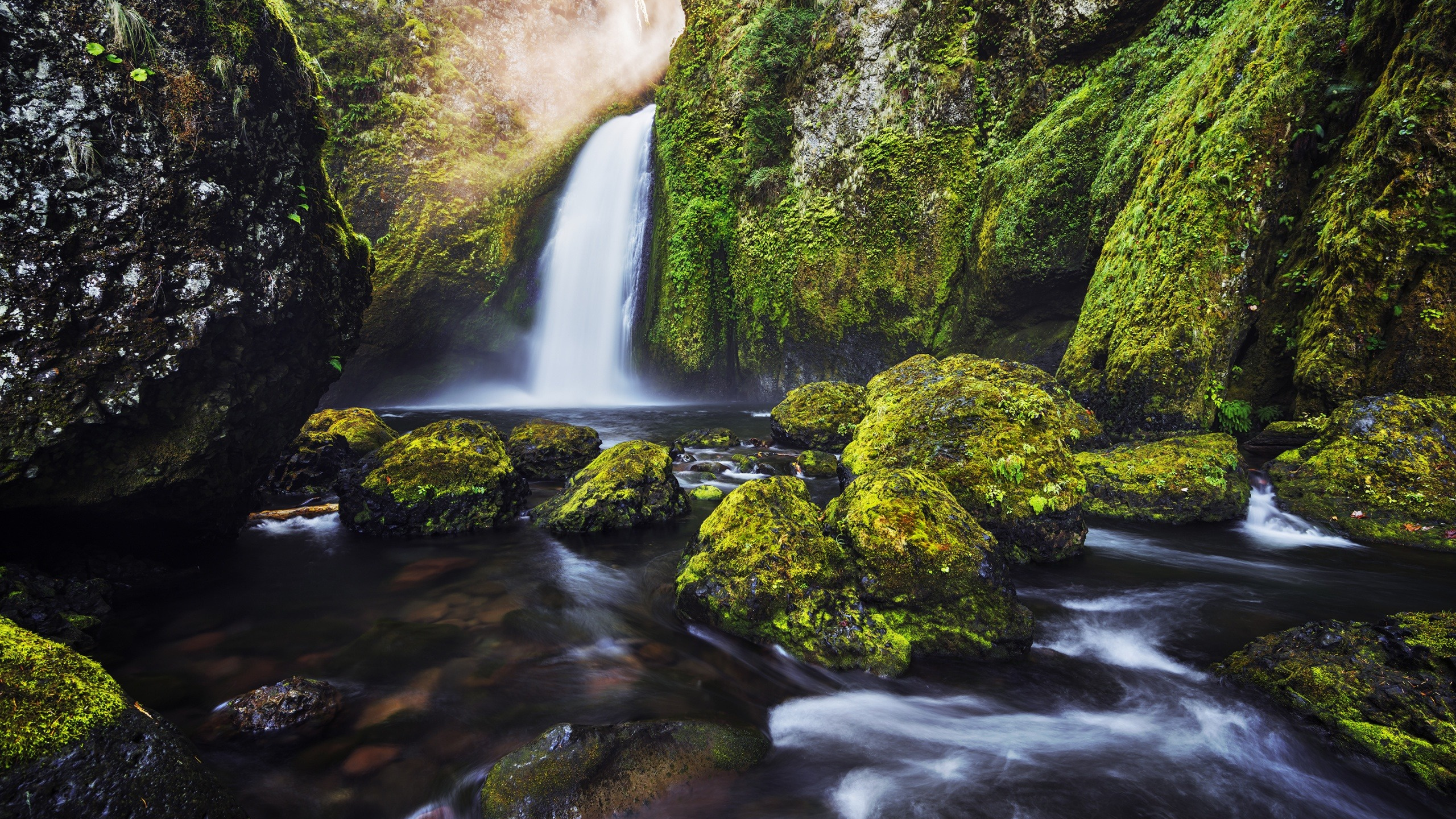 Water Falls in The Middle of Green Moss Covered Rocks. Wallpaper in 2560x1440 Resolution