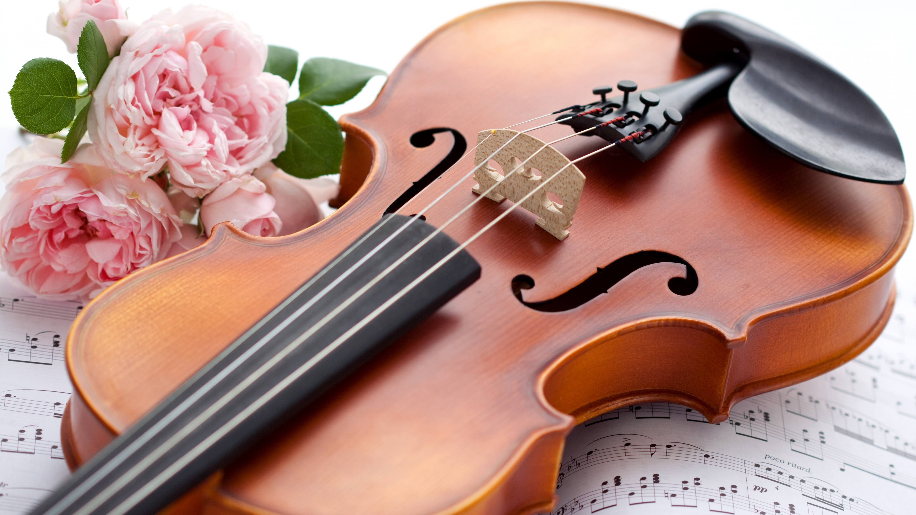 Violin, Cello, String Instrument, Musical Instrument, Violin Family. Wallpaper in 3840x2160 Resolution