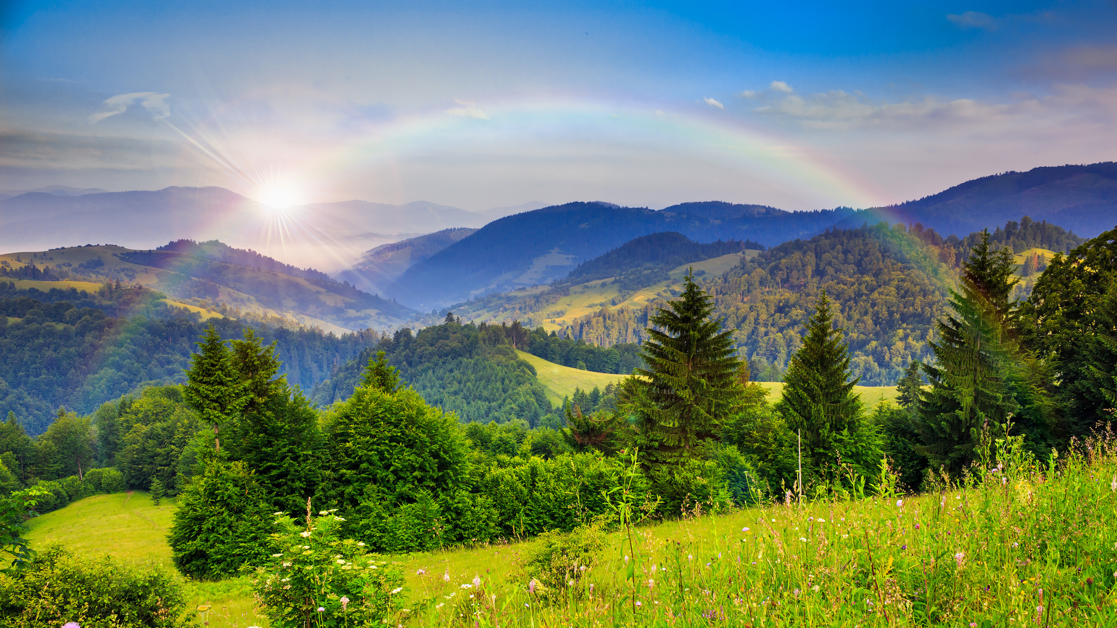 Green Trees on Green Grass Field During Daytime. Wallpaper in 3840x2160 Resolution
