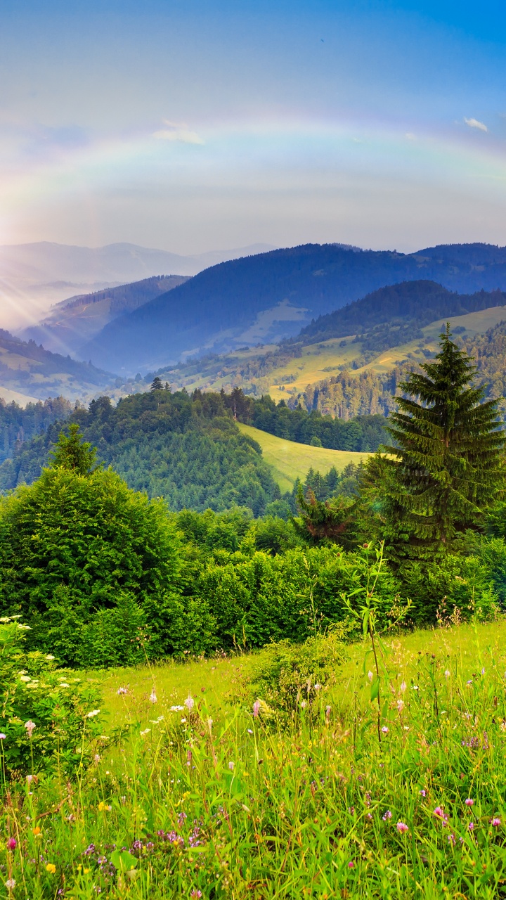 性质, 天空, 草地上, 植被, 多山的地貌 壁纸 720x1280 允许