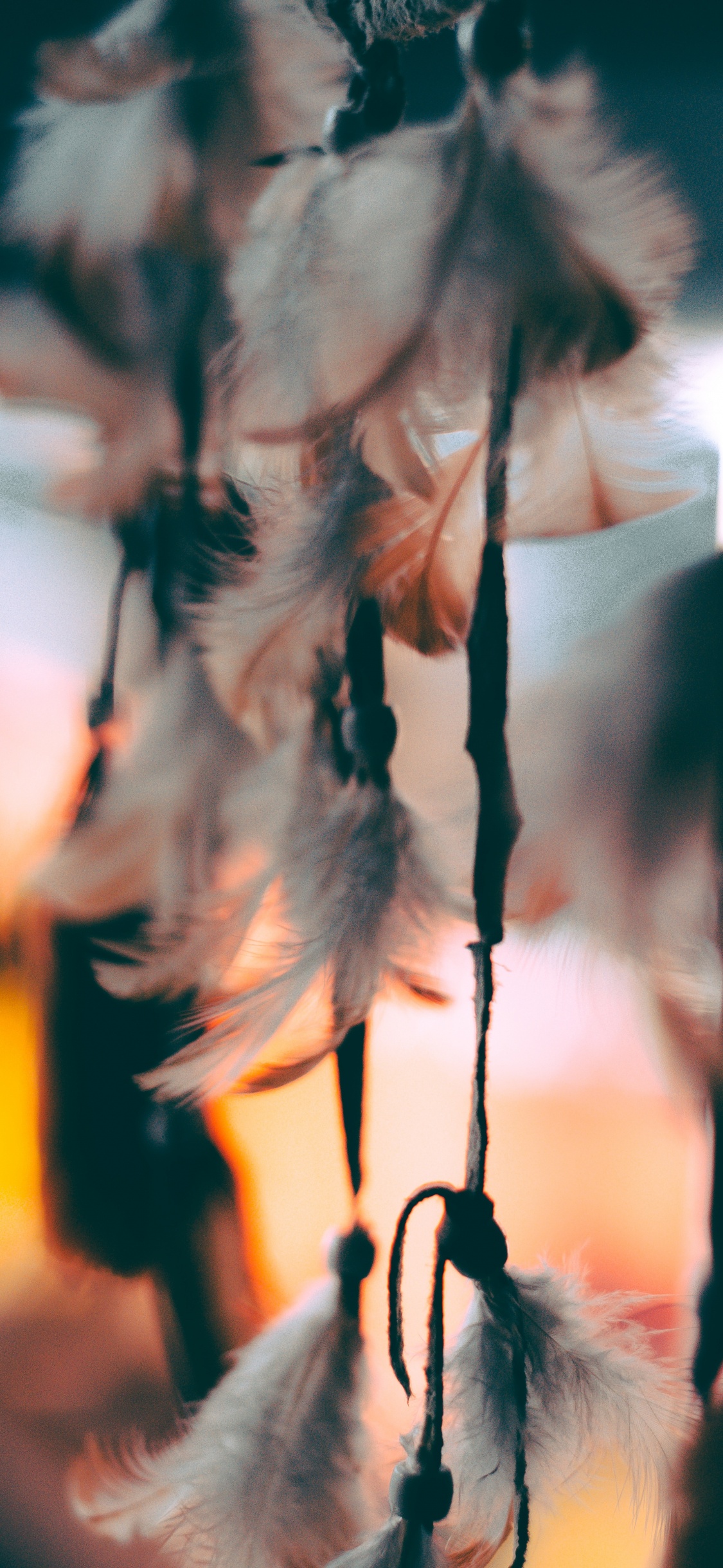 Plume, Feuille, Rameau, Accessoire de Mode, Main. Wallpaper in 1125x2436 Resolution