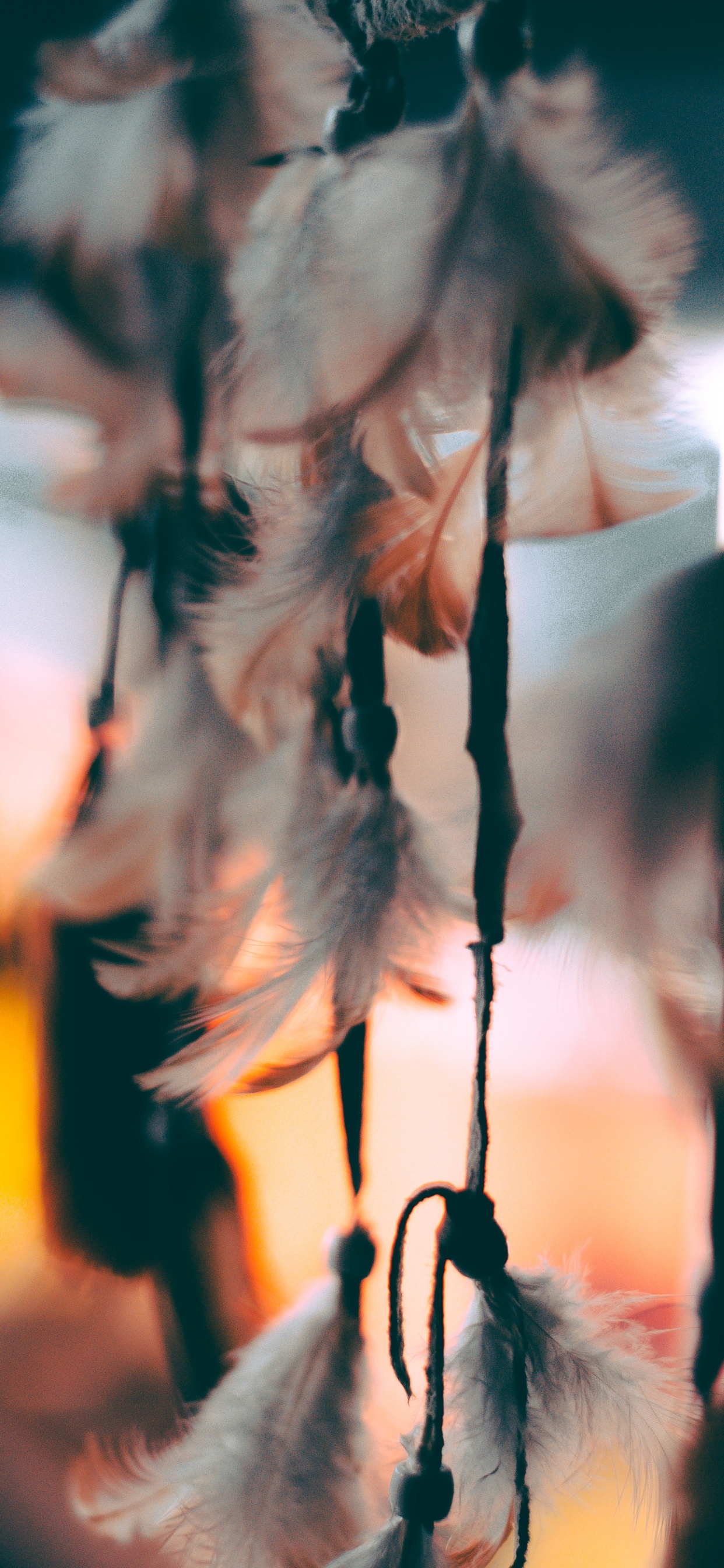 Feather, Leaf, Tree, Branch, Twig. Wallpaper in 1242x2688 Resolution