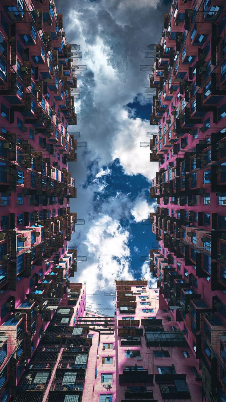 T恤, 连帽衫, 紫色的, 塔块, 粉红色 壁纸 750x1334 允许