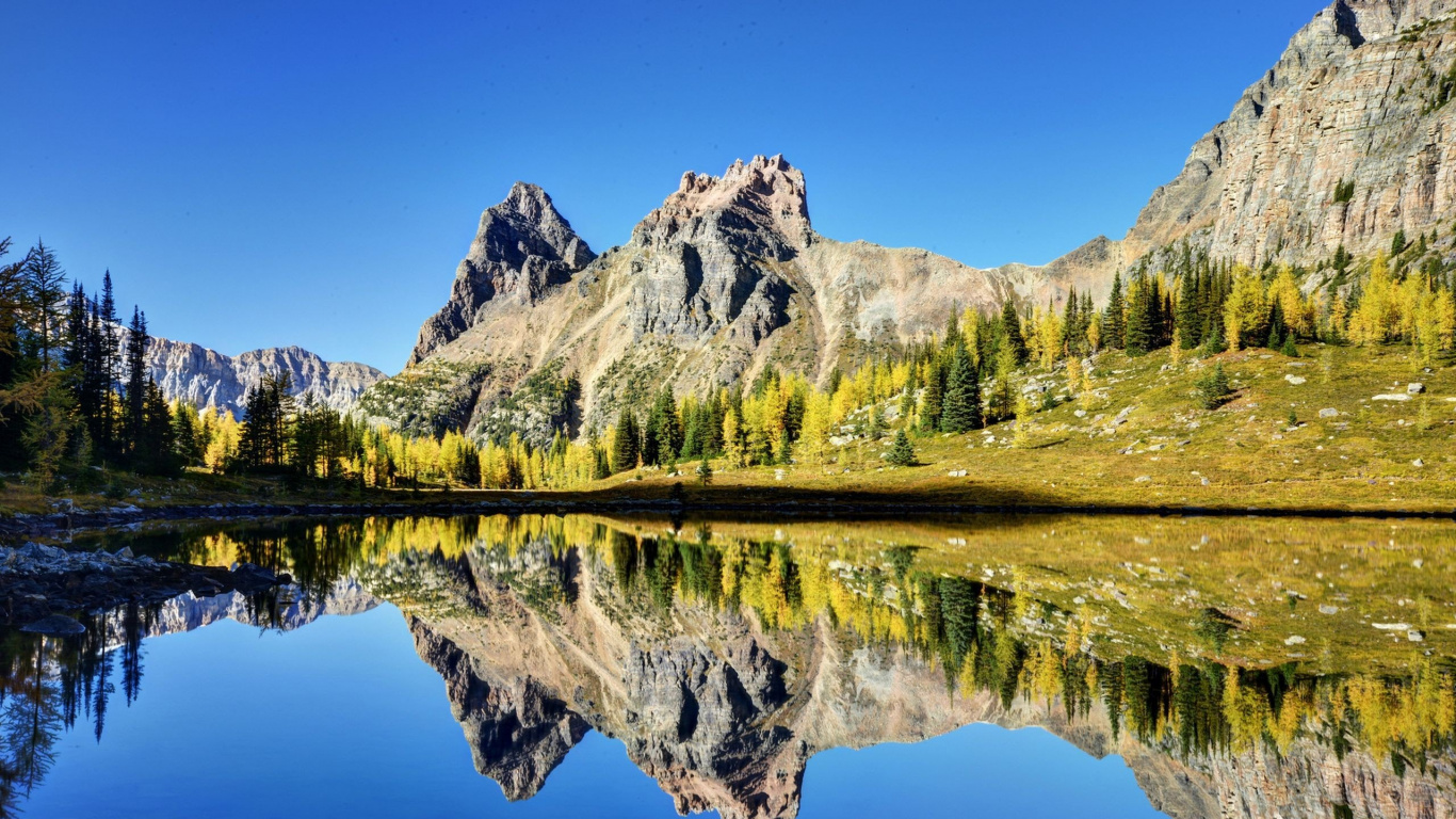 Green Trees Near Lake and Mountain Under Blue Sky During Daytime. Wallpaper in 1366x768 Resolution