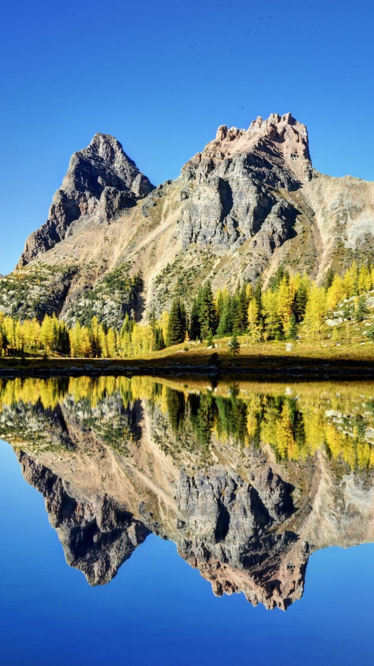 Green Trees Near Lake and Mountain Under Blue Sky During Daytime. Wallpaper in 750x1334 Resolution
