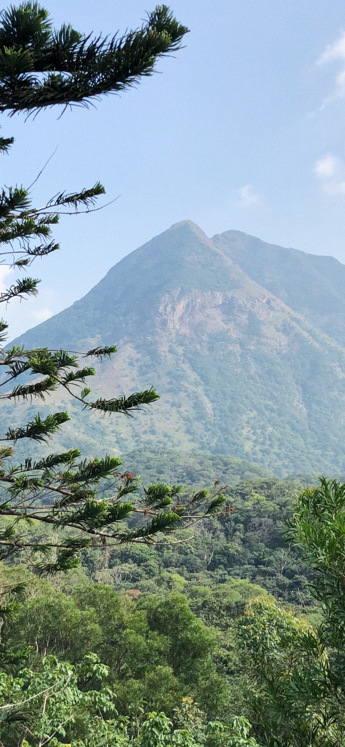 Vegetation, Mountainous Landforms, Plant Community, Highland, Hill. Wallpaper in 1125x2436 Resolution