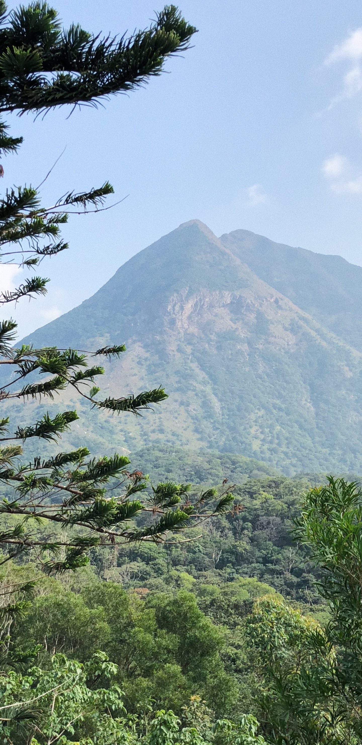 Vegetation, Mountainous Landforms, Plant Community, Highland, Hill. Wallpaper in 1440x2960 Resolution