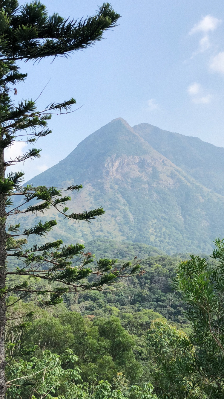 Vegetation, Mountainous Landforms, Plant Community, Highland, Hill. Wallpaper in 750x1334 Resolution