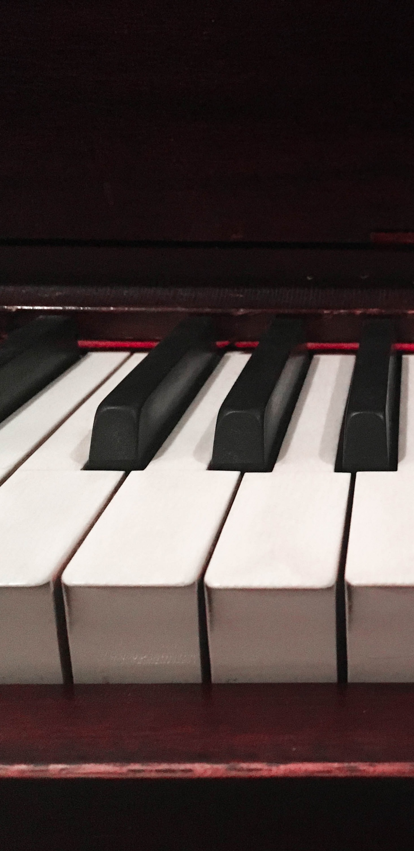 Piano, Musical Keyboard, Keyboard, Key, Musical Instrument. Wallpaper in 1440x2960 Resolution