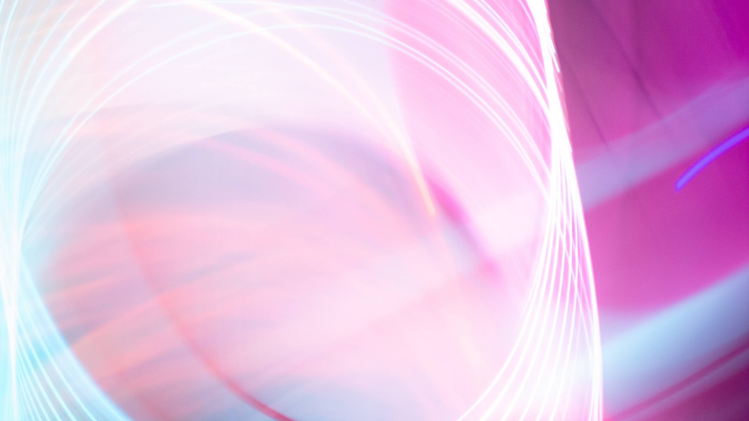 Pink and White Light Digital Wallpaper. Wallpaper in 2560x1440 Resolution