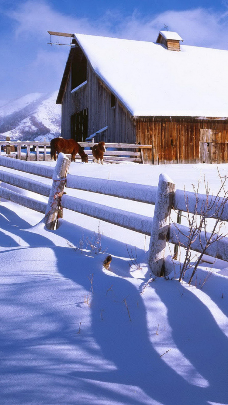 谷仓, 冬天, 冻结, 北极, 山脉 壁纸 750x1334 允许