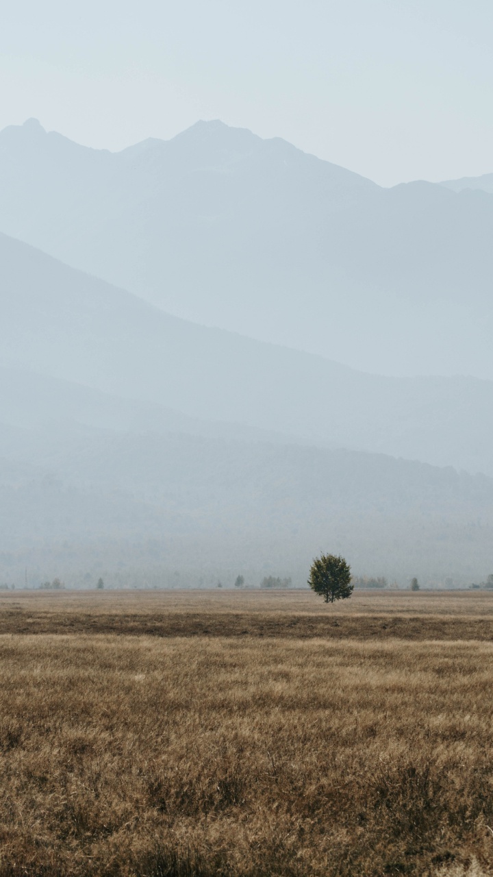 Rural Area, Morning, Tree, National Park, Sky. Wallpaper in 720x1280 Resolution
