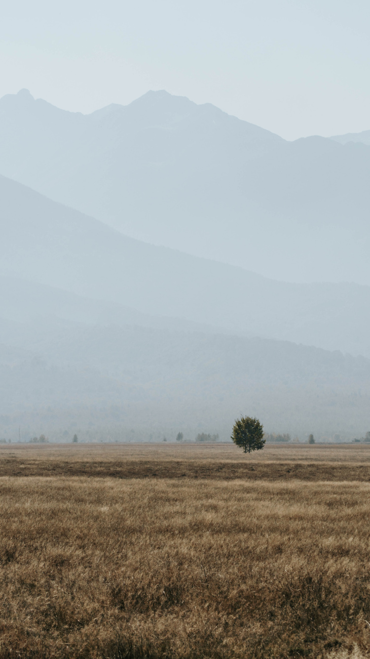 Rural Area, Morning, Tree, National Park, Sky. Wallpaper in 750x1334 Resolution