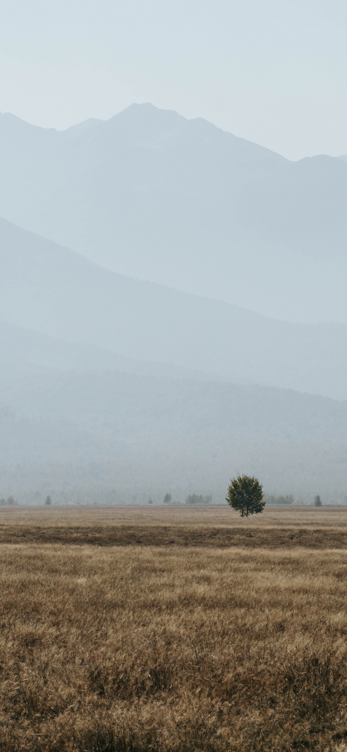 Zone Rurale, Matin, le Parc National De, Ciel, L'écorégion. Wallpaper in 1125x2436 Resolution