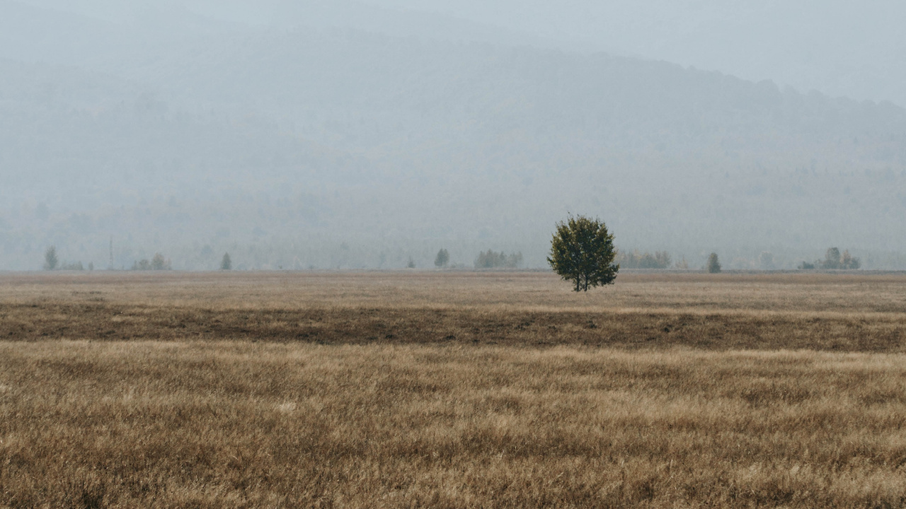 Zone Rurale, Matin, le Parc National De, Ciel, L'écorégion. Wallpaper in 1280x720 Resolution