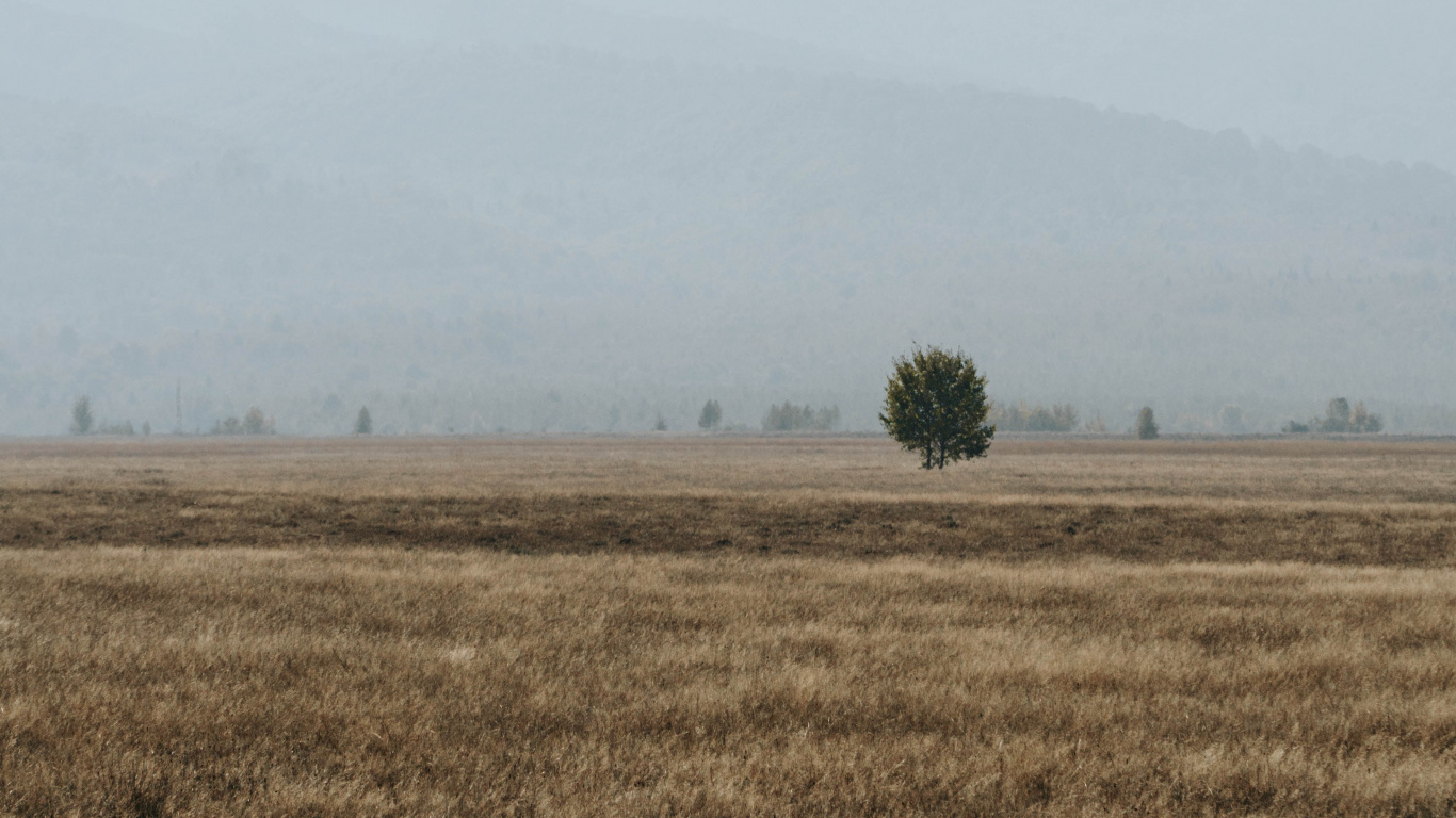 Zone Rurale, Matin, le Parc National De, Ciel, L'écorégion. Wallpaper in 1366x768 Resolution