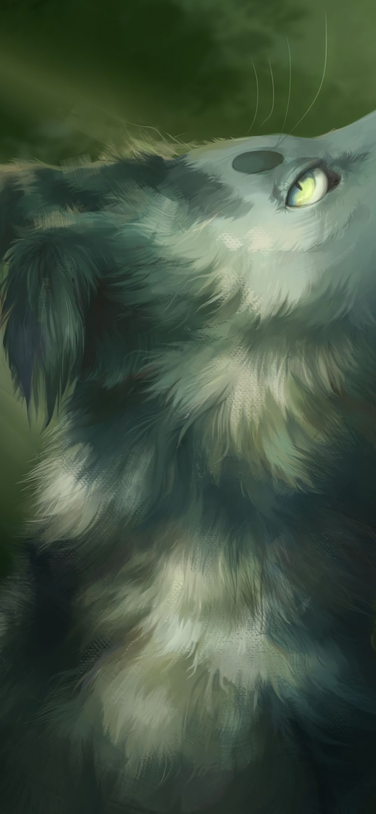 Weiße Und Schwarze Langfellkatze. Wallpaper in 1242x2688 Resolution