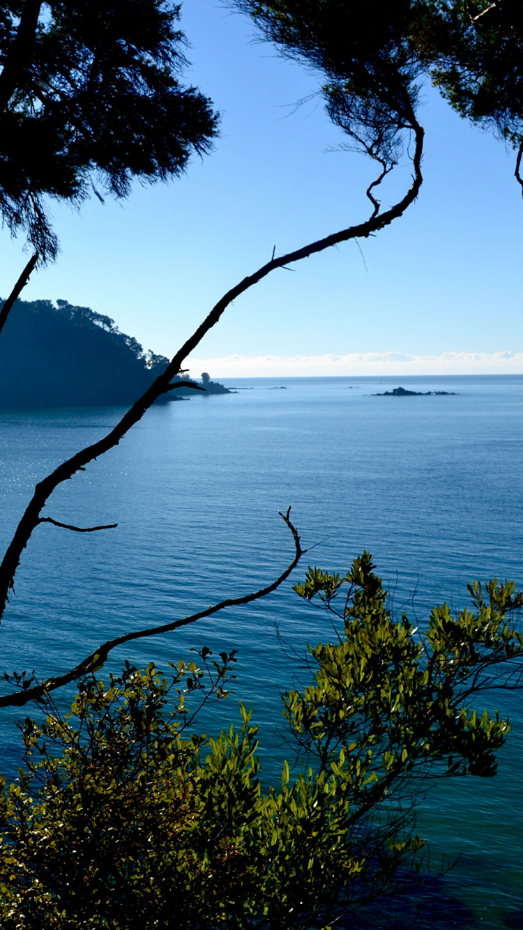 性质, 大海, 海岸, 海洋, 热带地区 壁纸 750x1334 允许