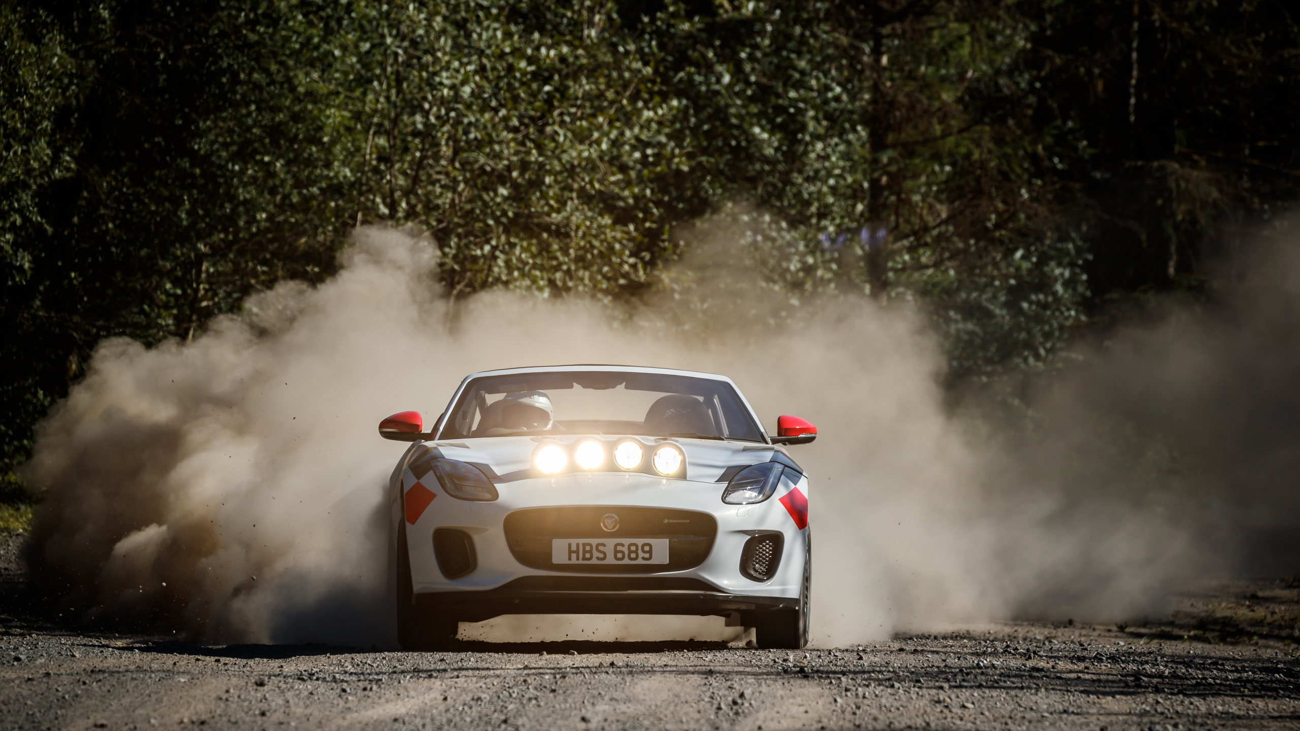 Porsche 911 Argent Sur Route. Wallpaper in 2560x1440 Resolution