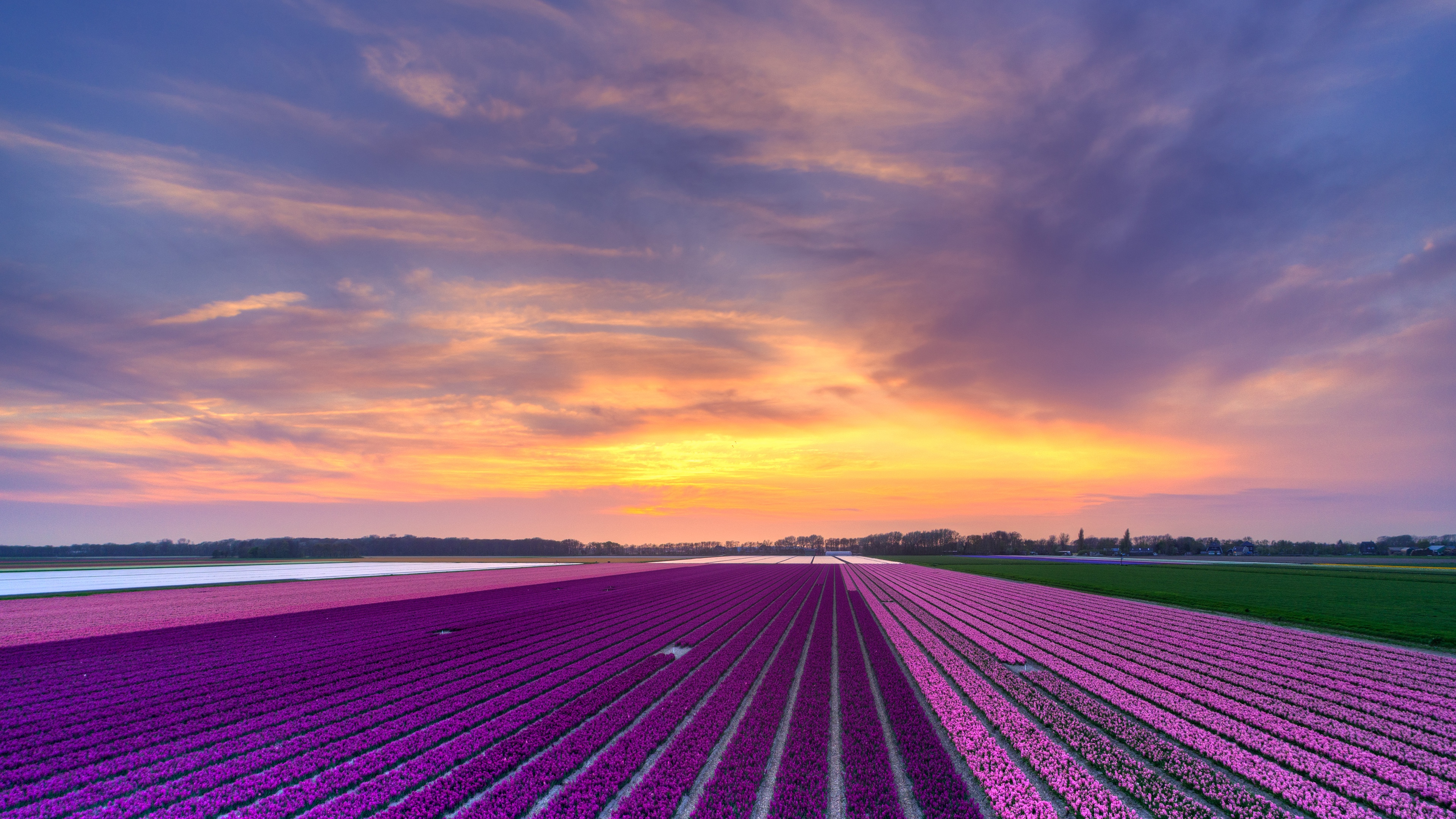 Green Grass Field Near Sea During Sunset. Wallpaper in 3840x2160 Resolution