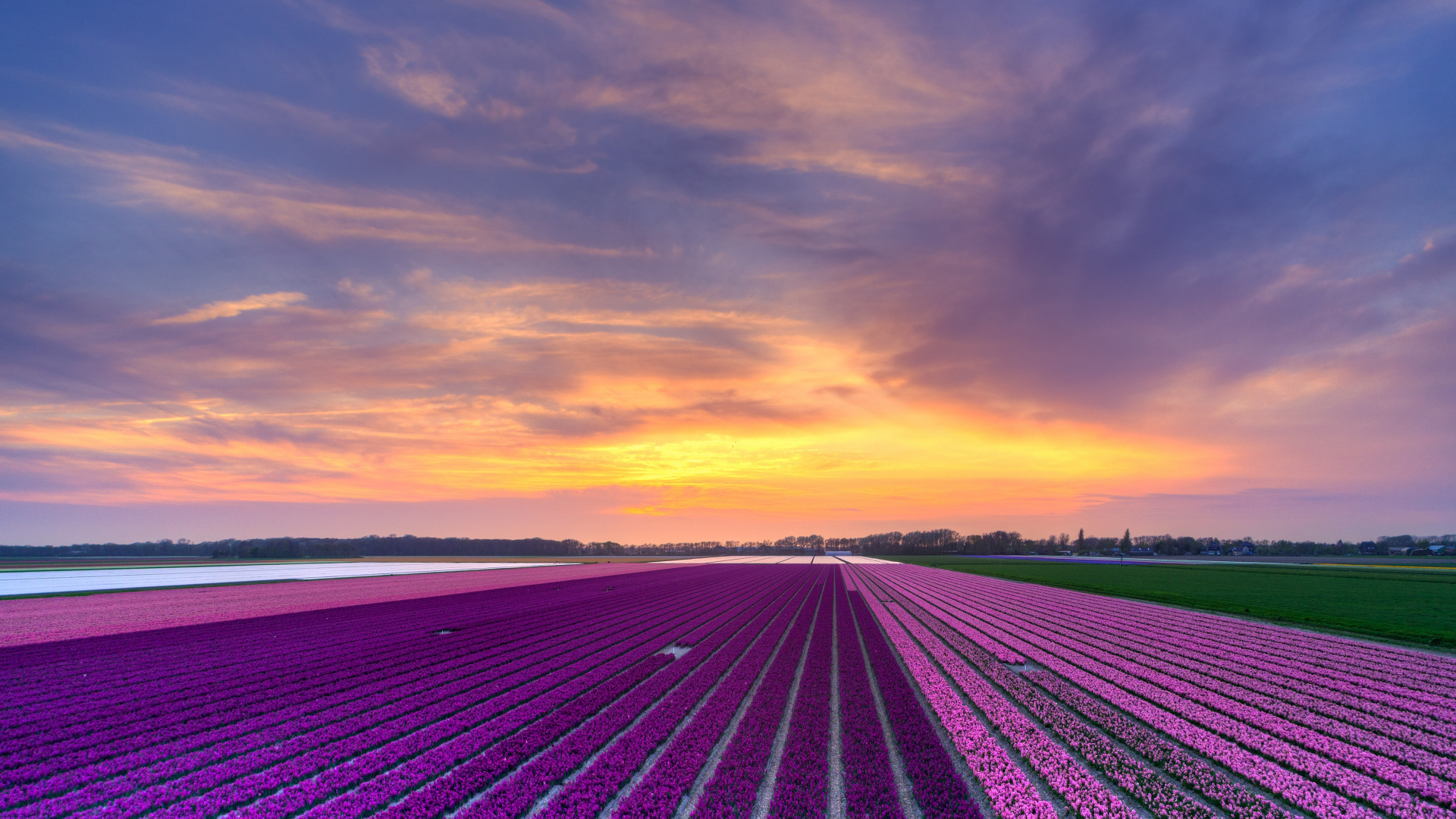 日落, 透, 晚上, 地平线, 早上 壁纸 1920x1080 允许