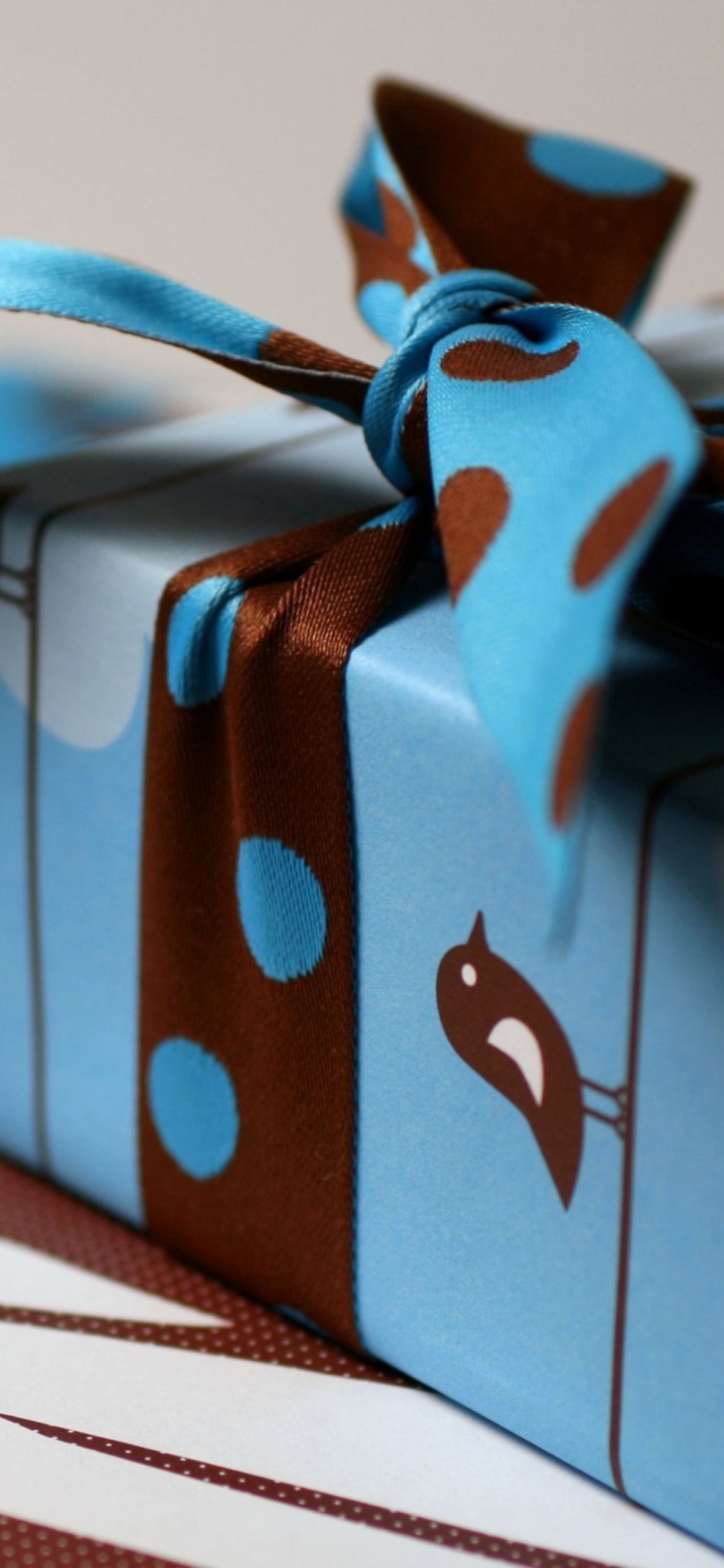 Gift, Box, Ribbon, Blue, Turquoise. Wallpaper in 1125x2436 Resolution