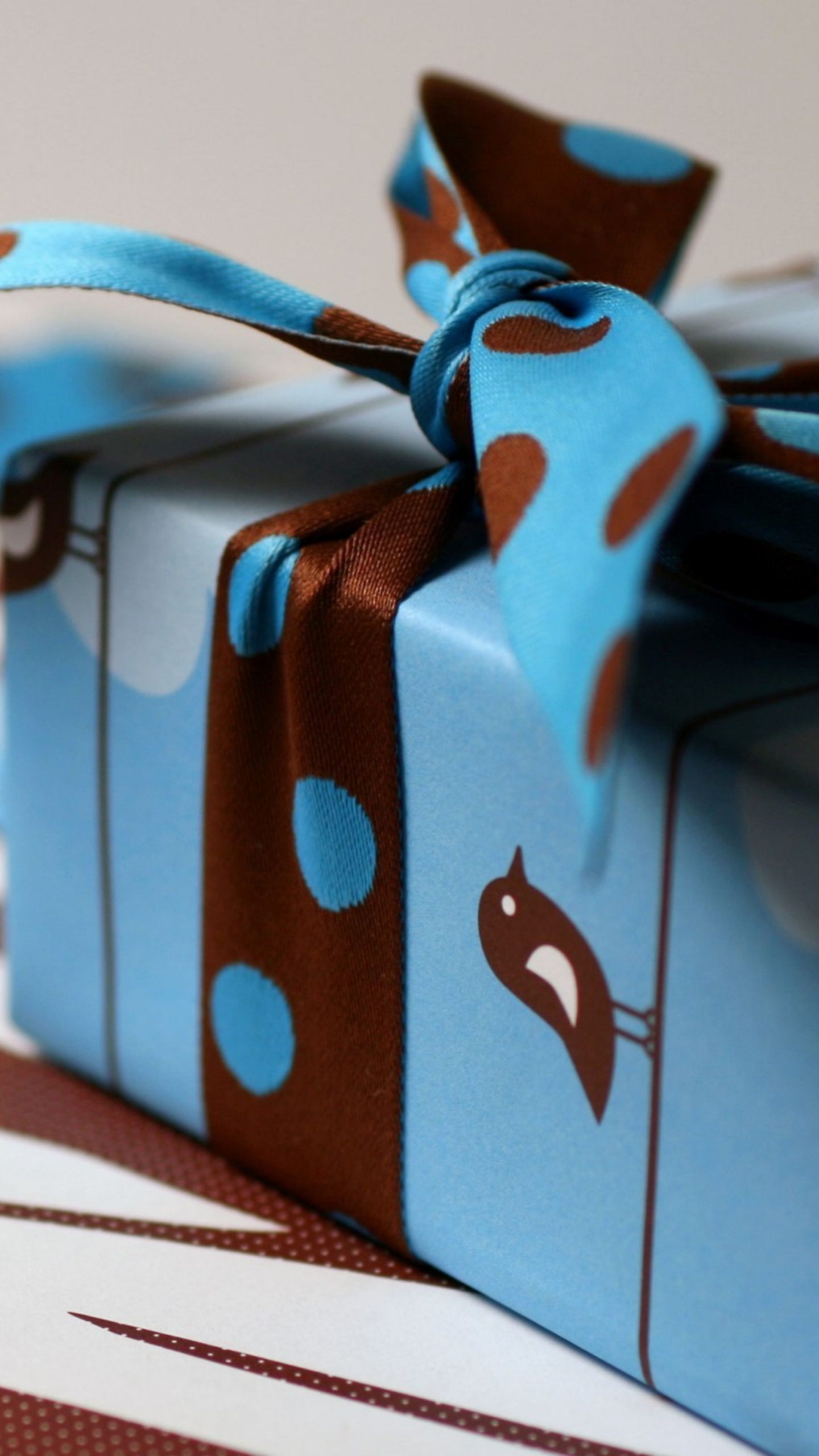 Gift, Box, Ribbon, Blue, Turquoise. Wallpaper in 1440x2560 Resolution