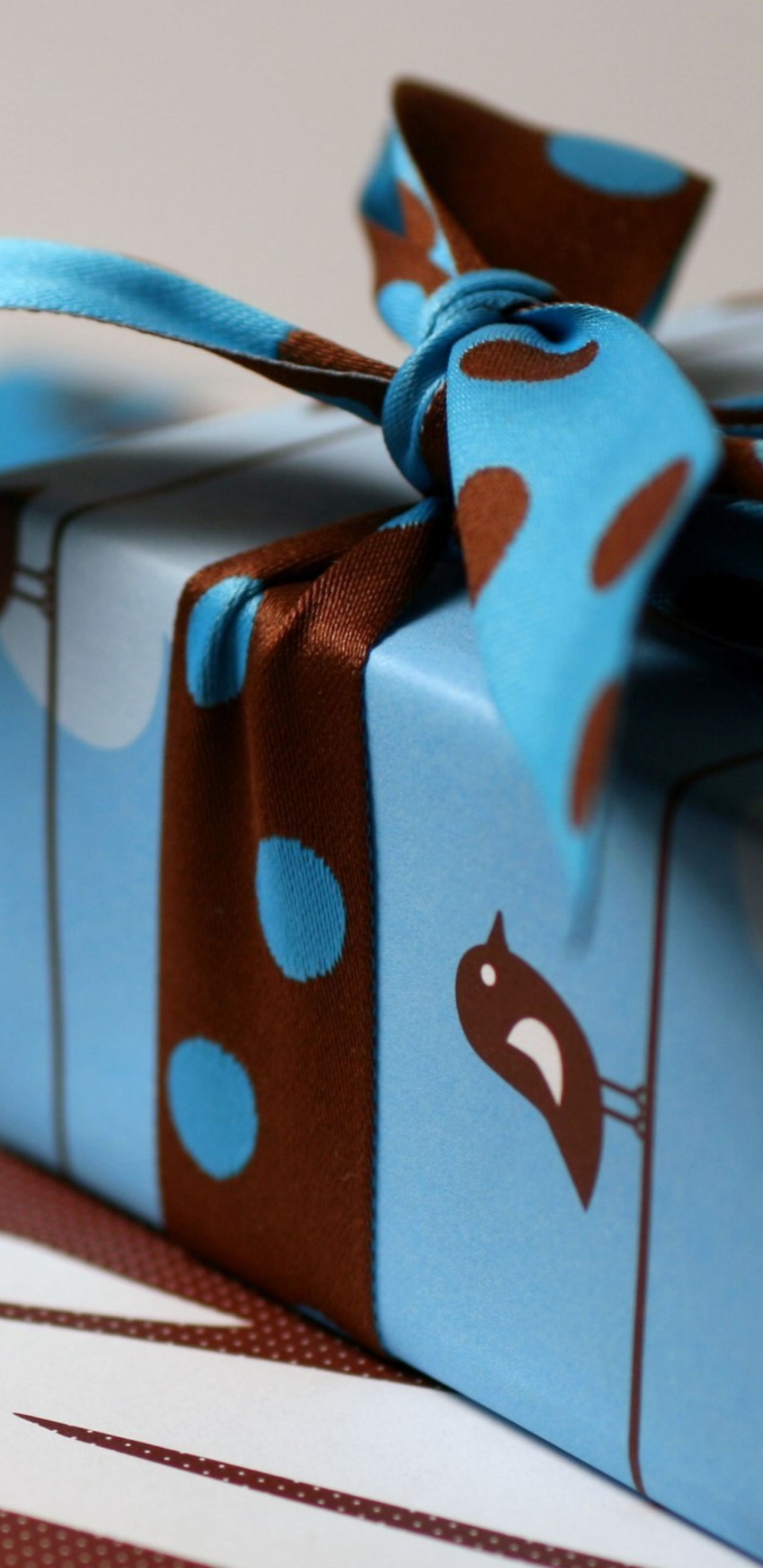 Gift, Box, Ribbon, Blue, Turquoise. Wallpaper in 1440x2960 Resolution