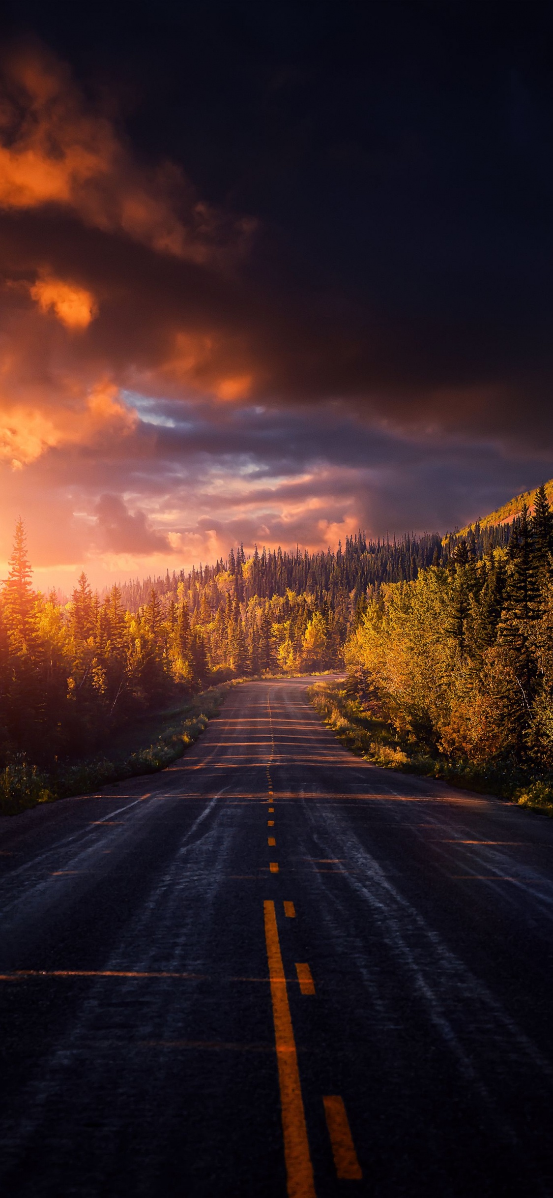 Afterglow, Surface de la Route, Paysage Naturel, Asphalt, Horizon. Wallpaper in 1125x2436 Resolution