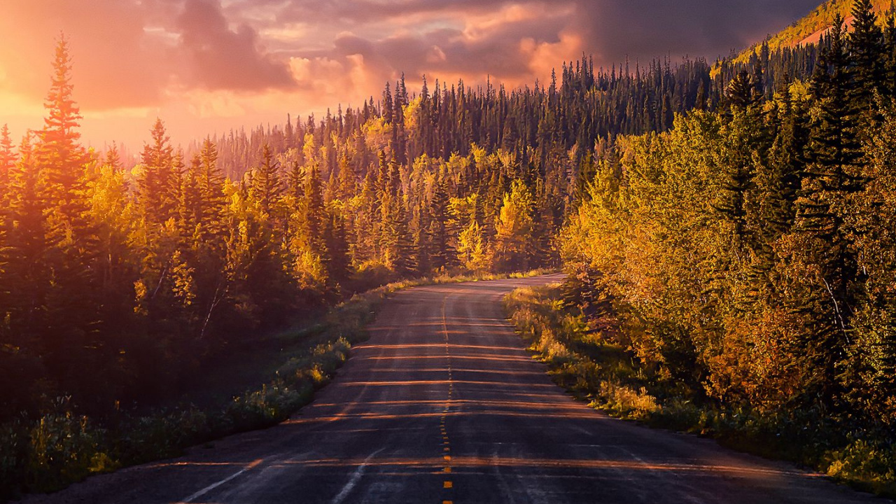 Cloud, Plant, Afterglow, Road Surface, Natural Landscape. Wallpaper in 1280x720 Resolution