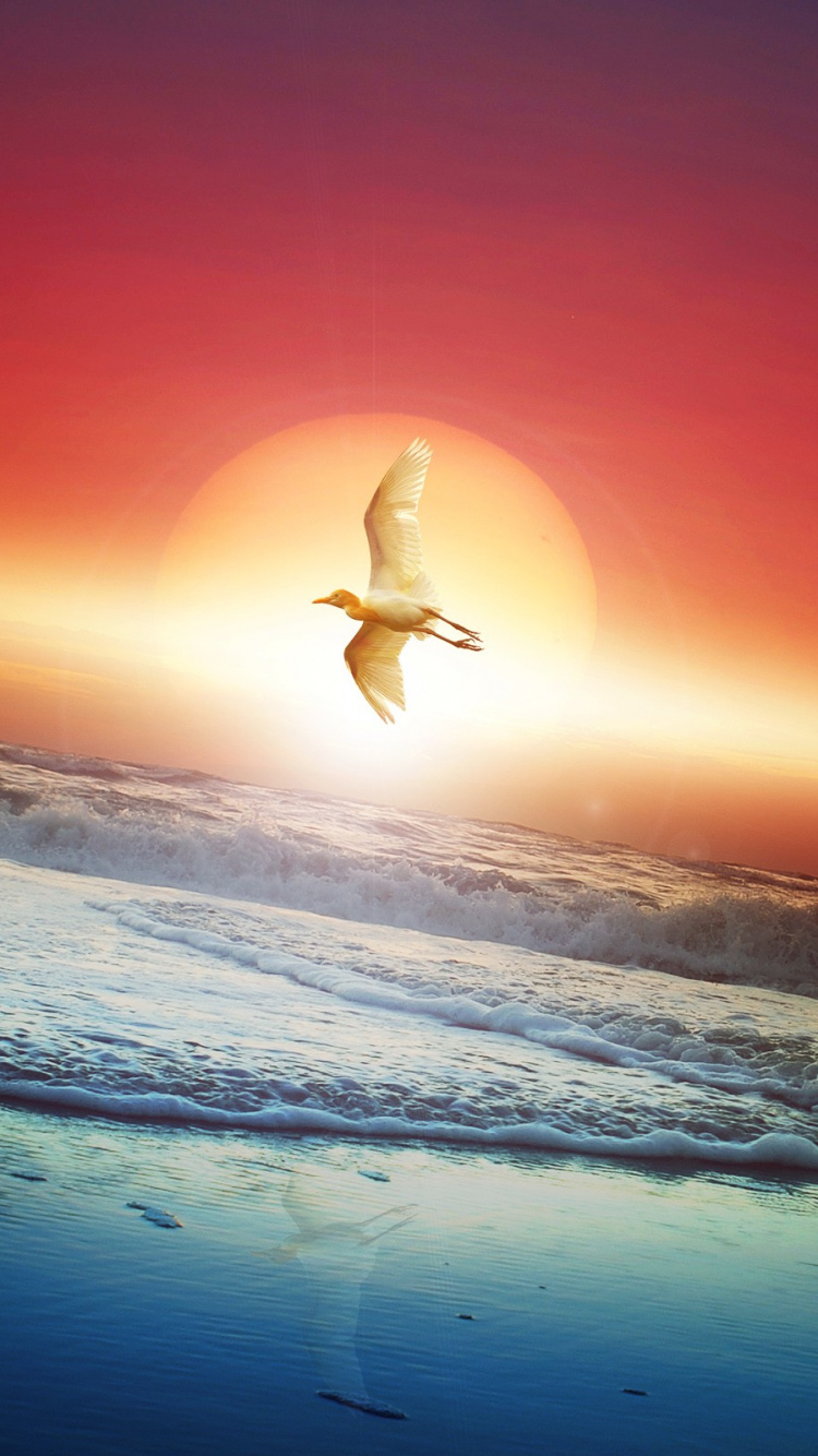 Personne Surfant Sur Les Vagues de la Mer Pendant le Coucher du Soleil. Wallpaper in 750x1334 Resolution