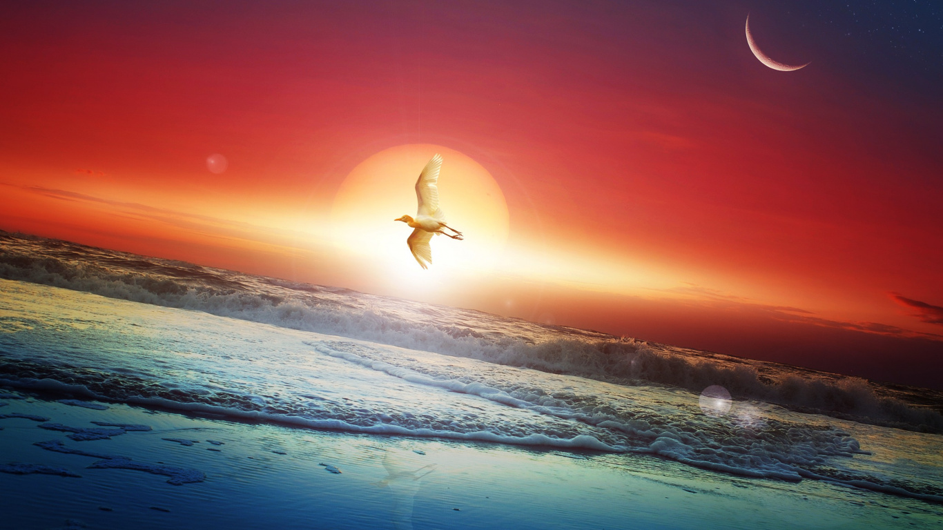 Persona Que Practica Surf en Las Olas Del Mar Durante la Puesta de Sol. Wallpaper in 1366x768 Resolution