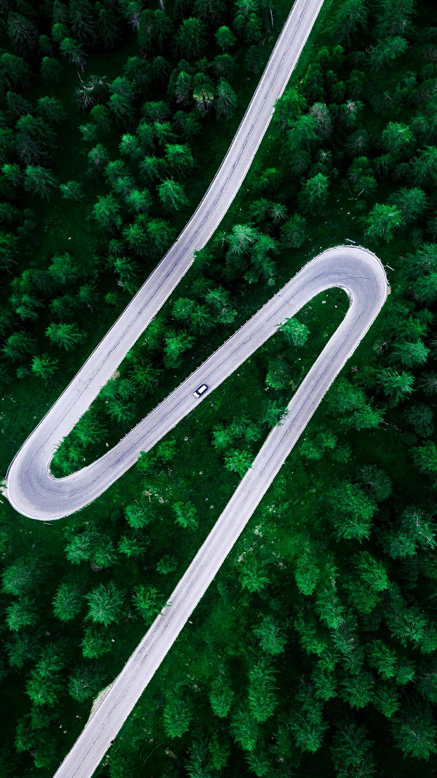 Hier, Univers Chuchotant, Illustration, Musique Amazon, Windolino. Wallpaper in 1440x2560 Resolution