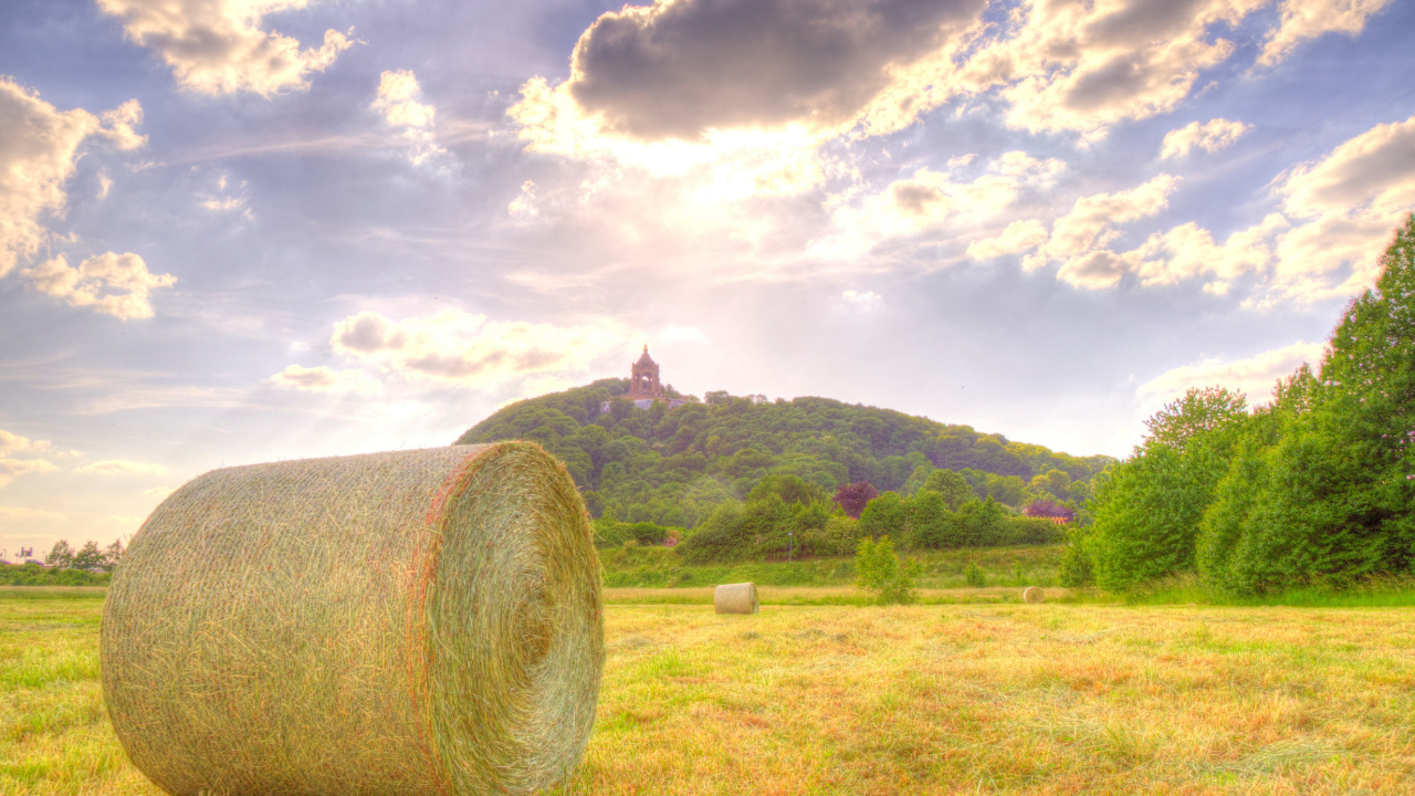 Brown Hays on Green Grass Field Under White Clouds and Blue Sky During Daytime. Wallpaper in 1280x720 Resolution