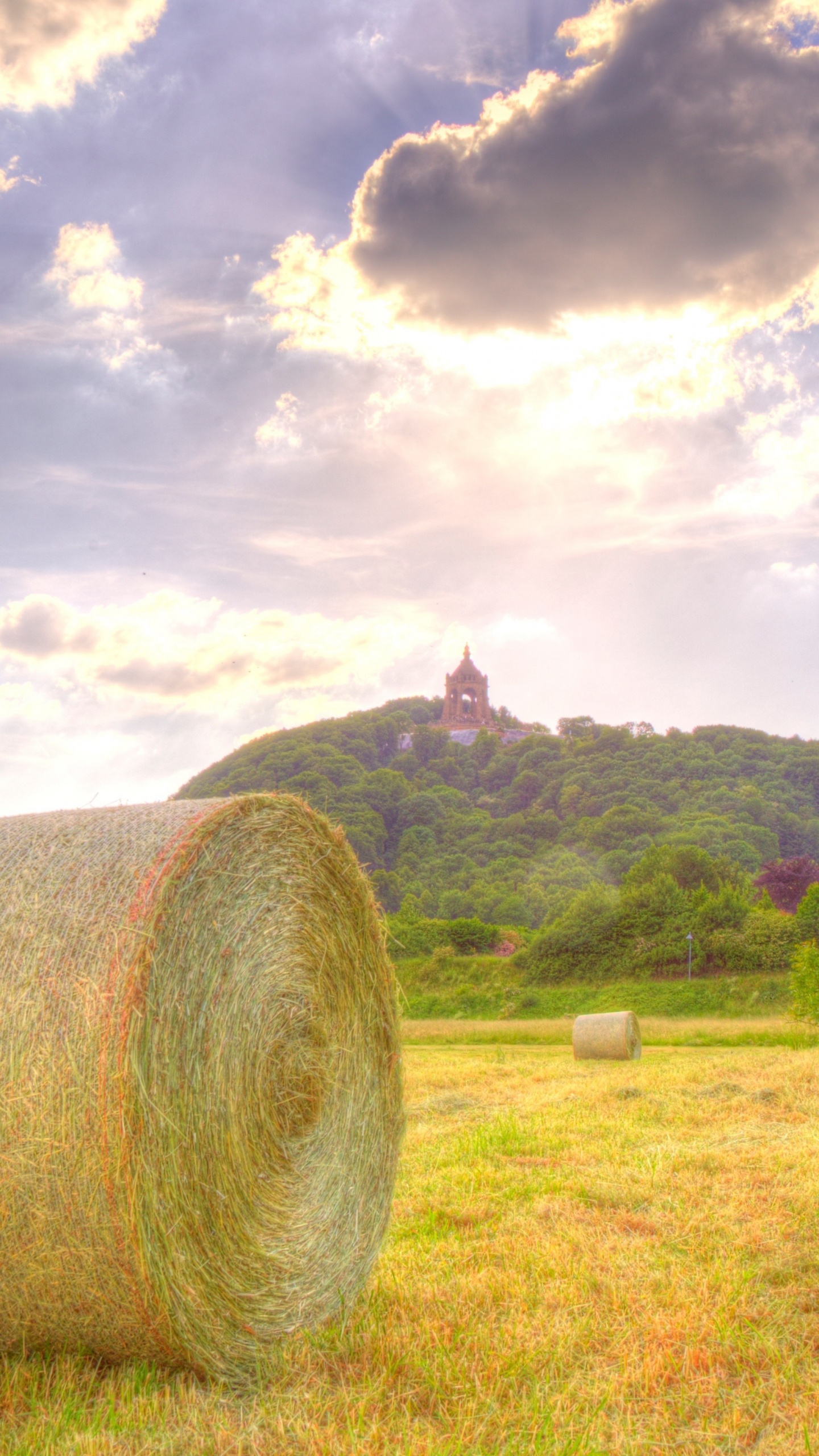 Brown Hays on Green Grass Field Under White Clouds and Blue Sky During Daytime. Wallpaper in 1440x2560 Resolution