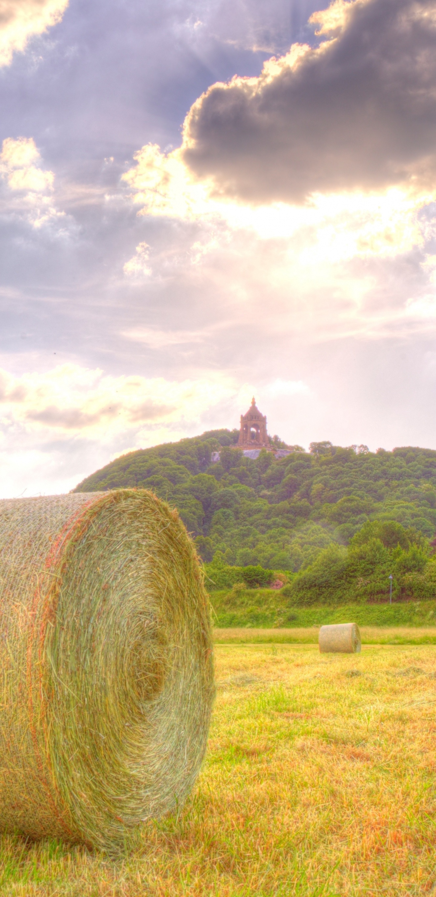 Hays Marrones en el Campo de Hierba Verde Bajo Las Nubes Blancas y el Cielo Azul Durante el Día. Wallpaper in 1440x2960 Resolution