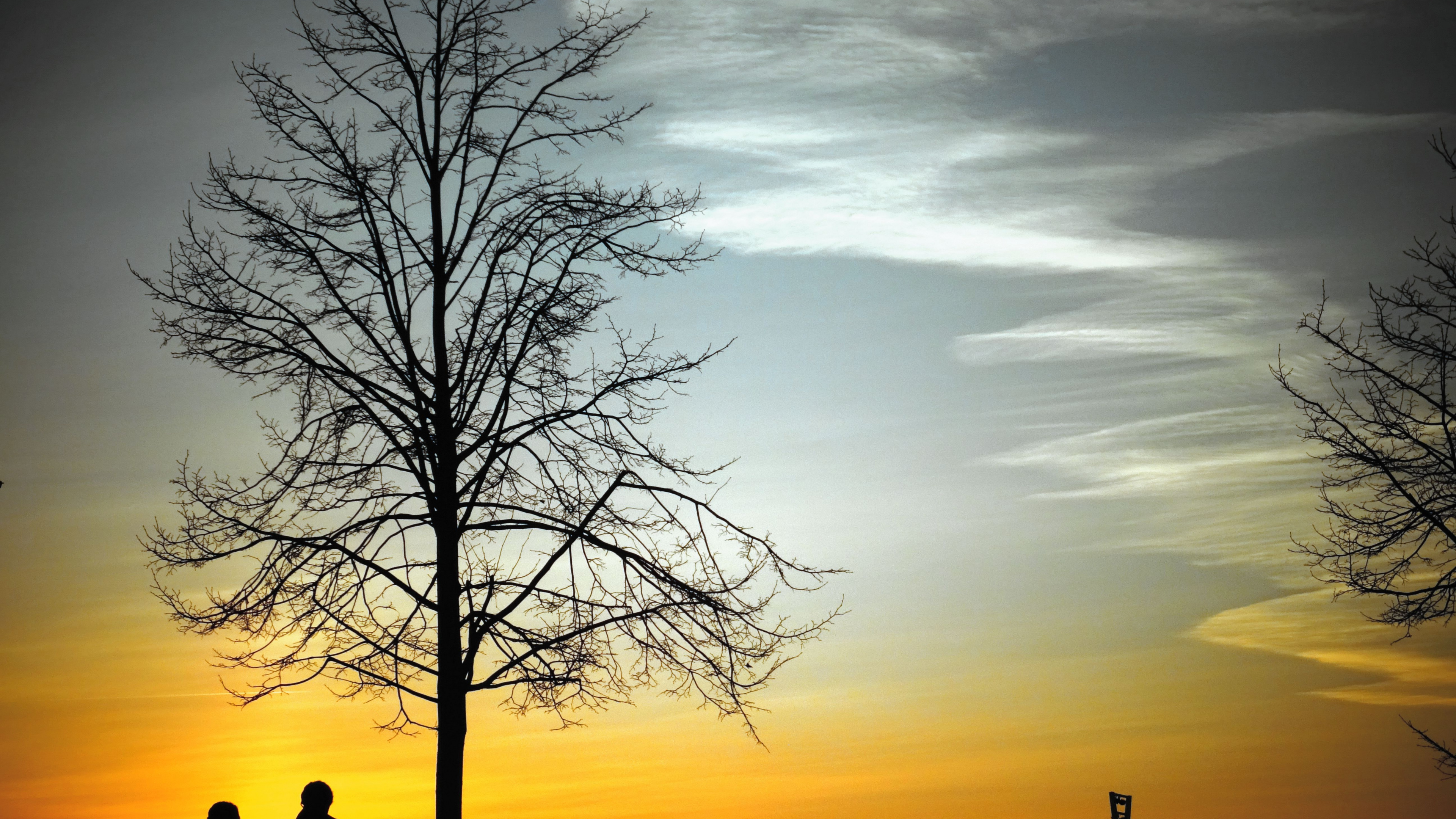 Tree, Sky, Natural Landscape, Marriage, Evening. Wallpaper in 3840x2160 Resolution