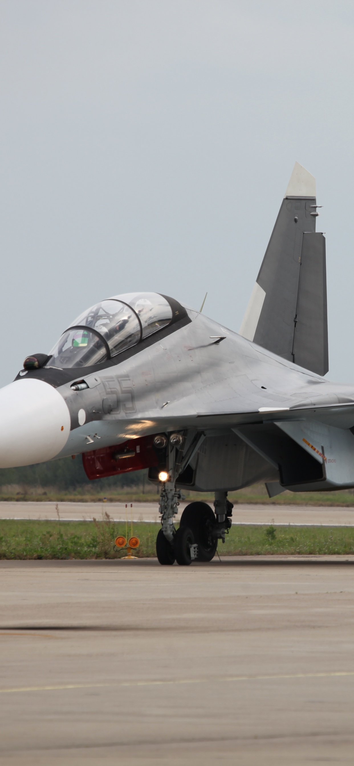 el Avión de Combate Polivalente, Aeronave, Avión Jet, Aviación, la Fuerza Aérea. Wallpaper in 1242x2688 Resolution