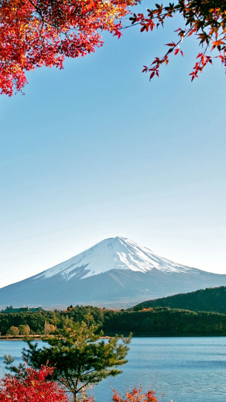 性质, 富士山, 安装的风景, 天空, 荒野 壁纸 750x1334 允许