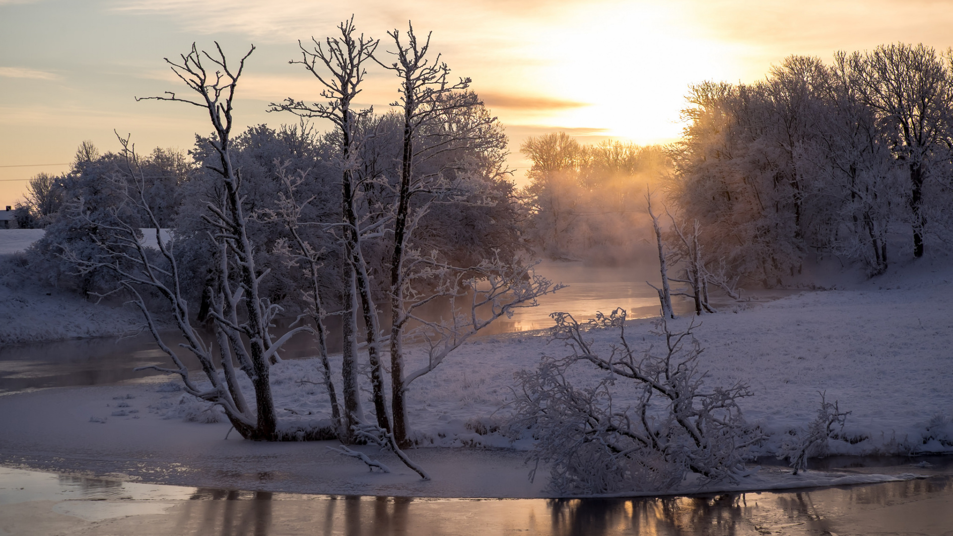 Kahlen Bäume Auf Schneebedecktem Boden Bei Sonnenuntergang. Wallpaper in 1920x1080 Resolution