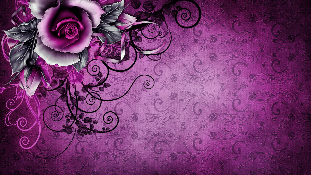 Lila Und Weiße Blumenillustration. Wallpaper in 1280x720 Resolution