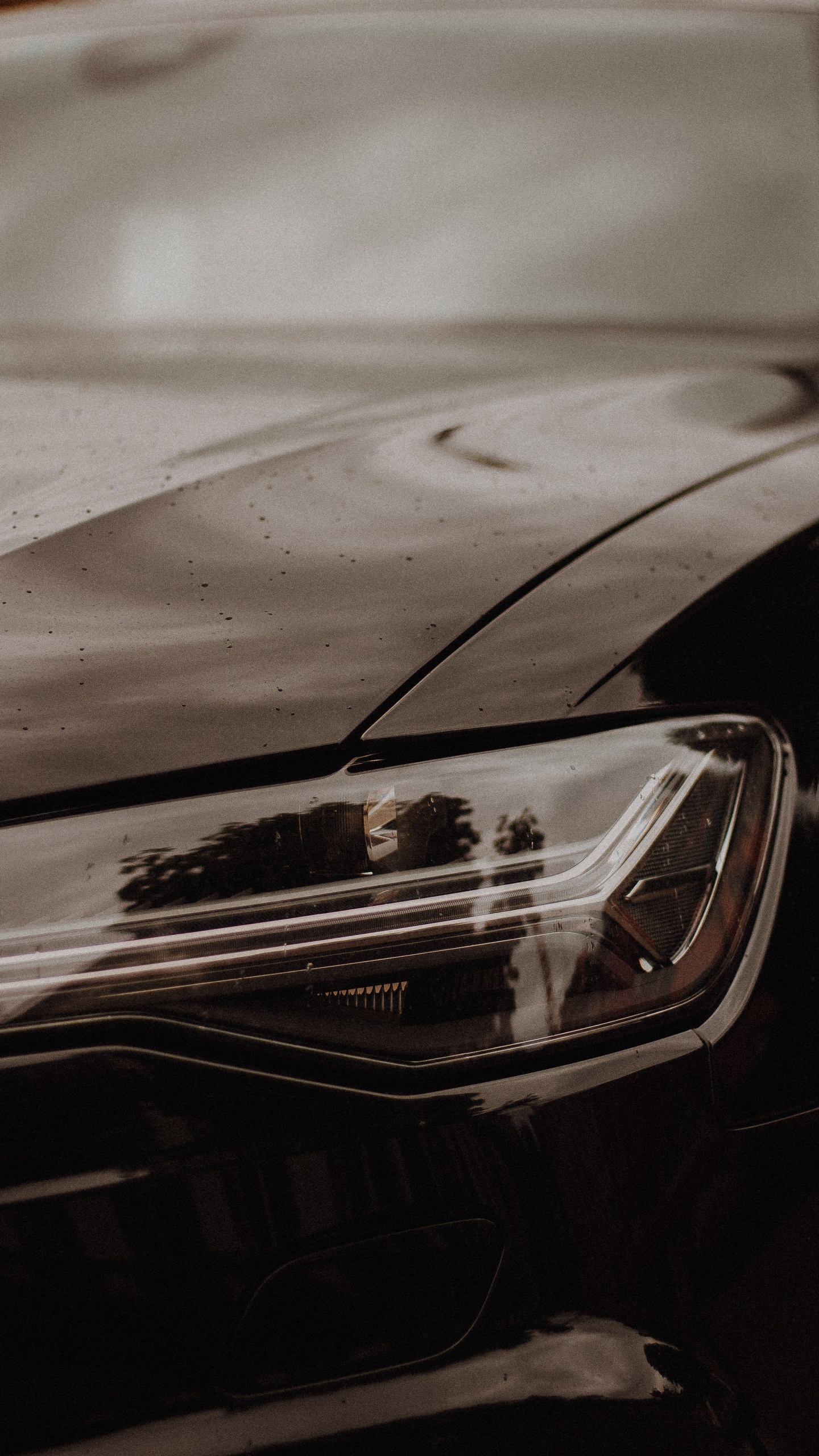 Schwarzes Auto Auf Schneebedeckter Straße Tagsüber. Wallpaper in 1440x2560 Resolution