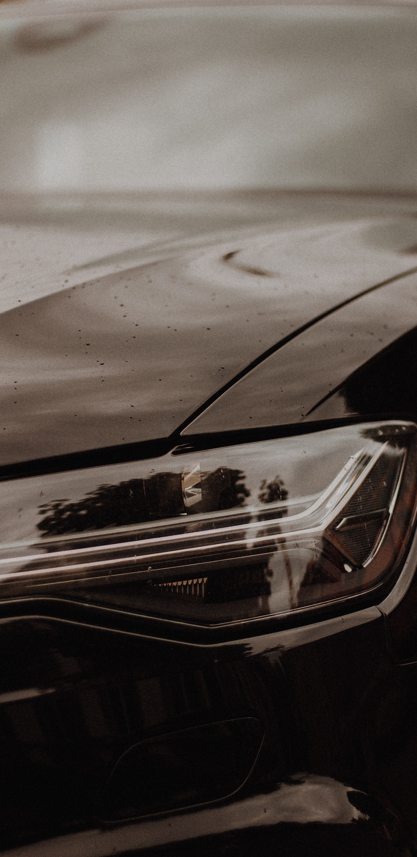 Schwarzes Auto Auf Schneebedeckter Straße Tagsüber. Wallpaper in 1440x2960 Resolution