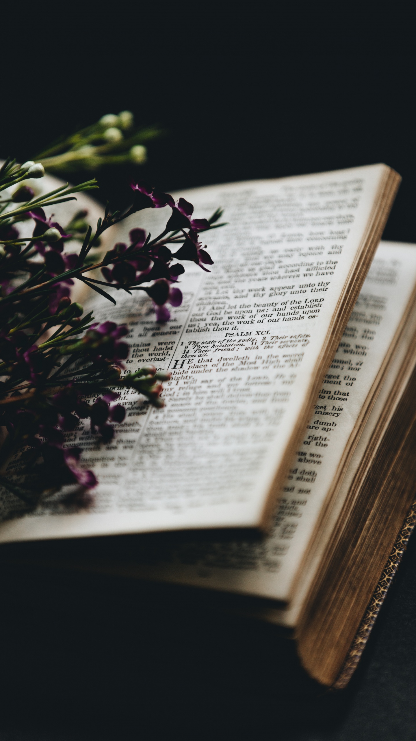 Red Flowers on Book Page. Wallpaper in 1440x2560 Resolution