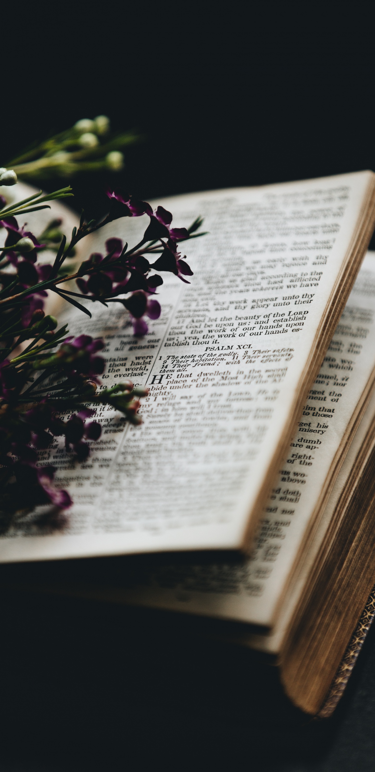 Red Flowers on Book Page. Wallpaper in 1440x2960 Resolution