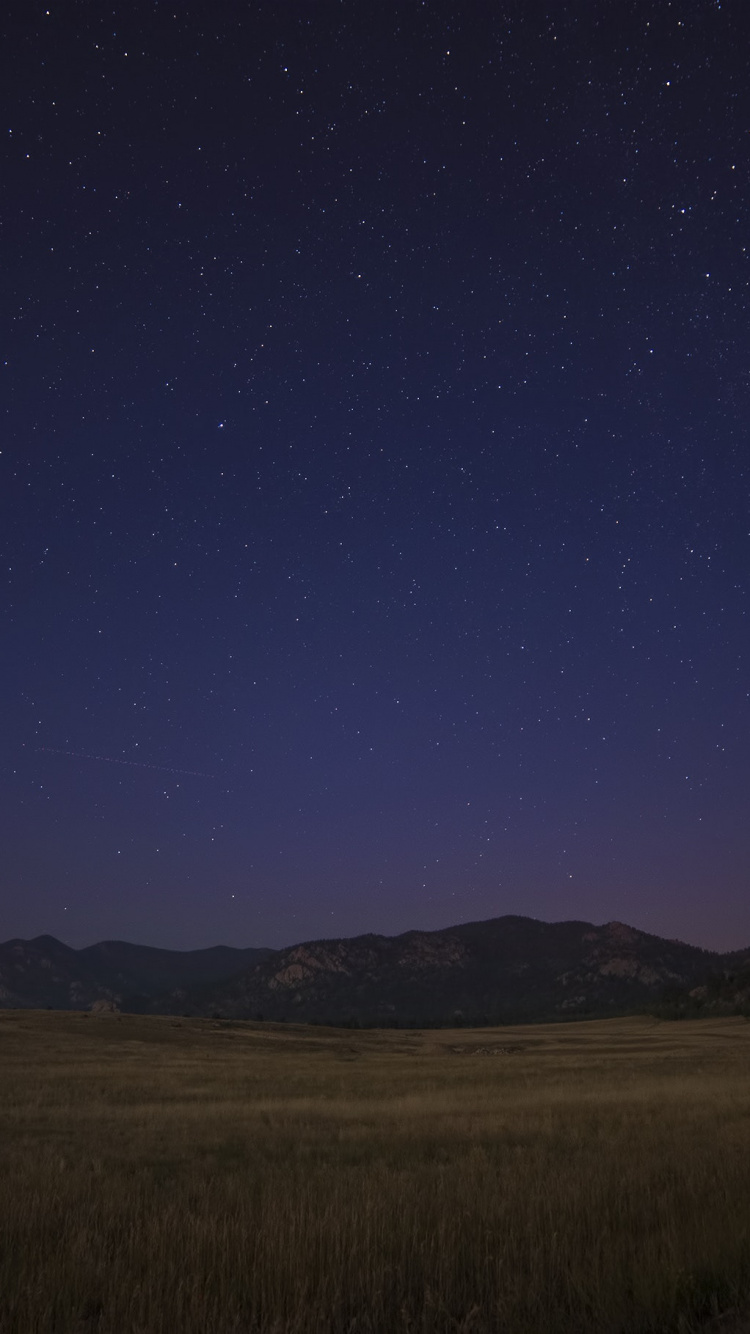 Brown Grass Field Under Blue Sky During Night Time. Wallpaper in 750x1334 Resolution